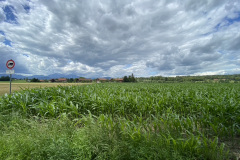BD72F91F-E764-48C4-8D87-82A9523CE93F_1_105_c