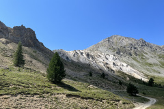 IMG_5677