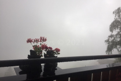 Alpentour2021_026