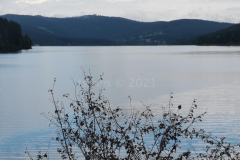 Alpentour2021_090