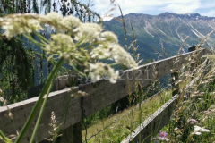 Alpentour2021_093